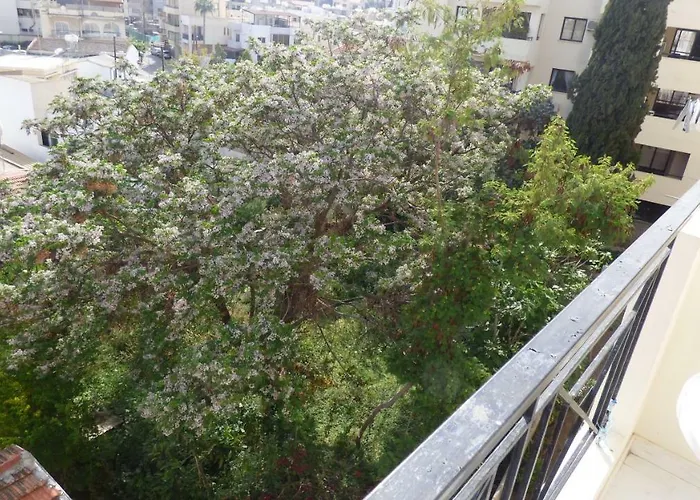 和服旅馆 招待所 *